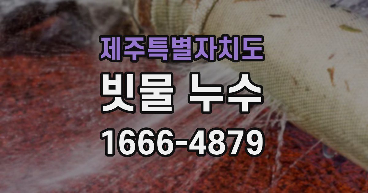 제주특별자치도 빗물 누수