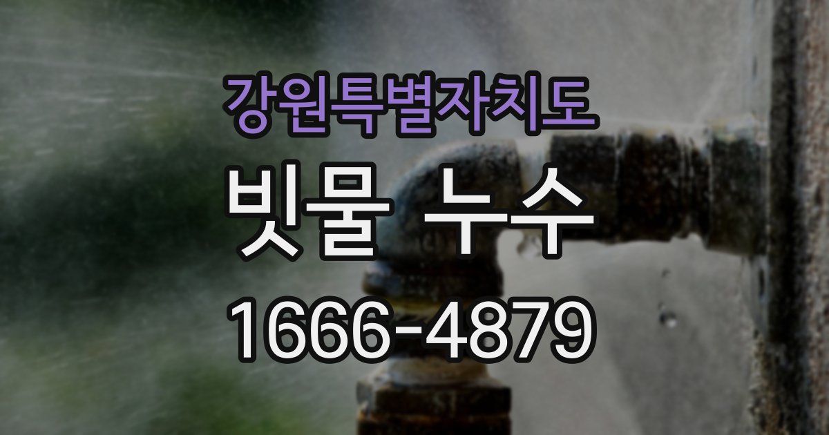 강원특별자치도 빗물 누수