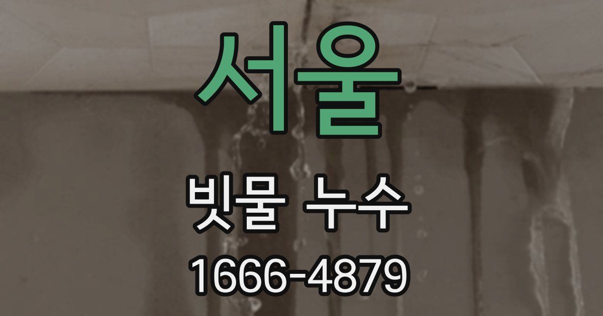 서울 빗물 누수