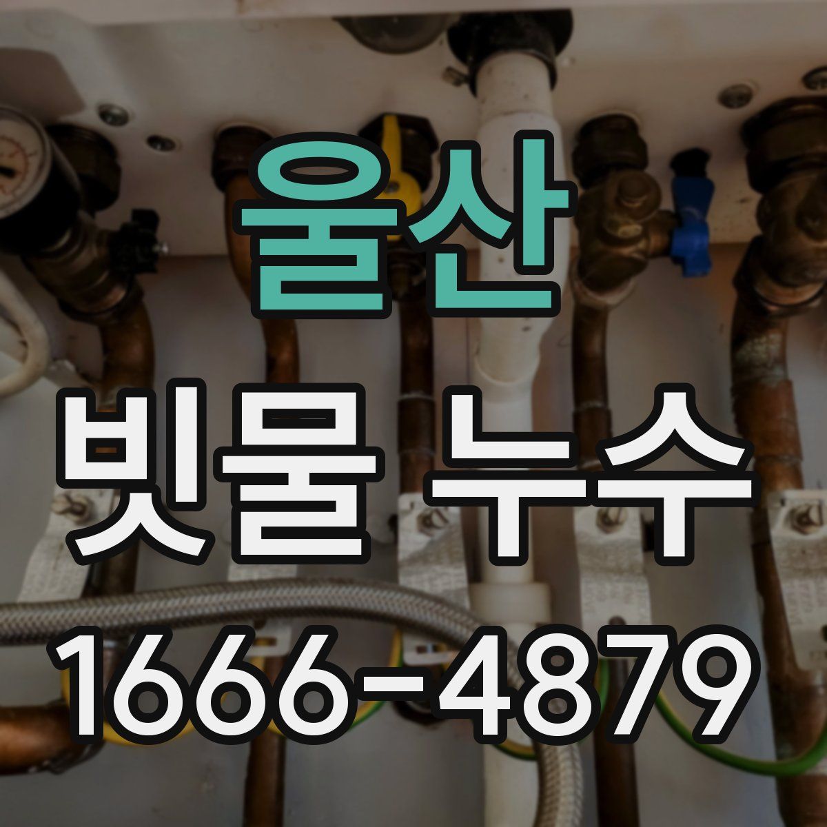 울산 빗물 누수