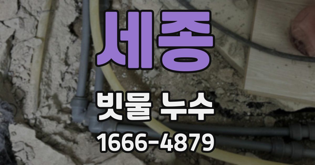세종 빗물 누수