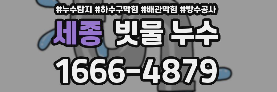 세종 빗물 누수