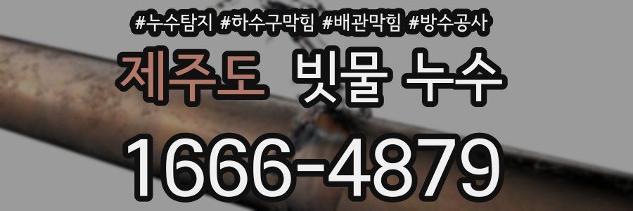 제주도 빗물 누수