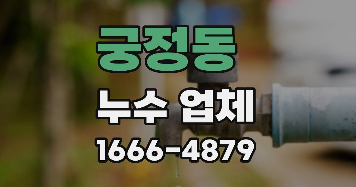 궁정동 누수 업체