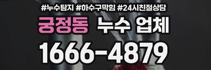 궁정동 누수 업체