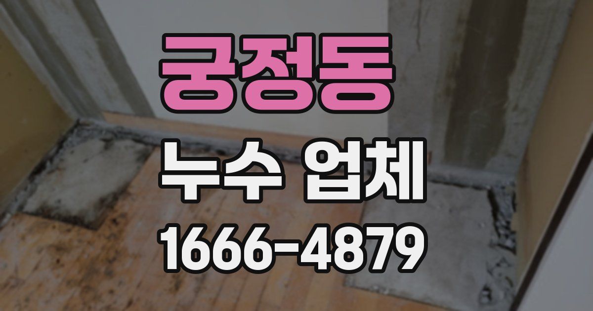 궁정동 누수 업체