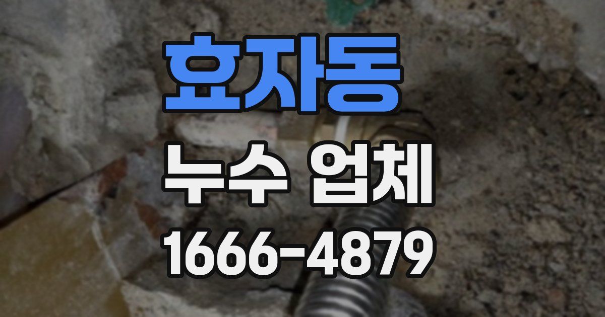 효자동 누수 업체