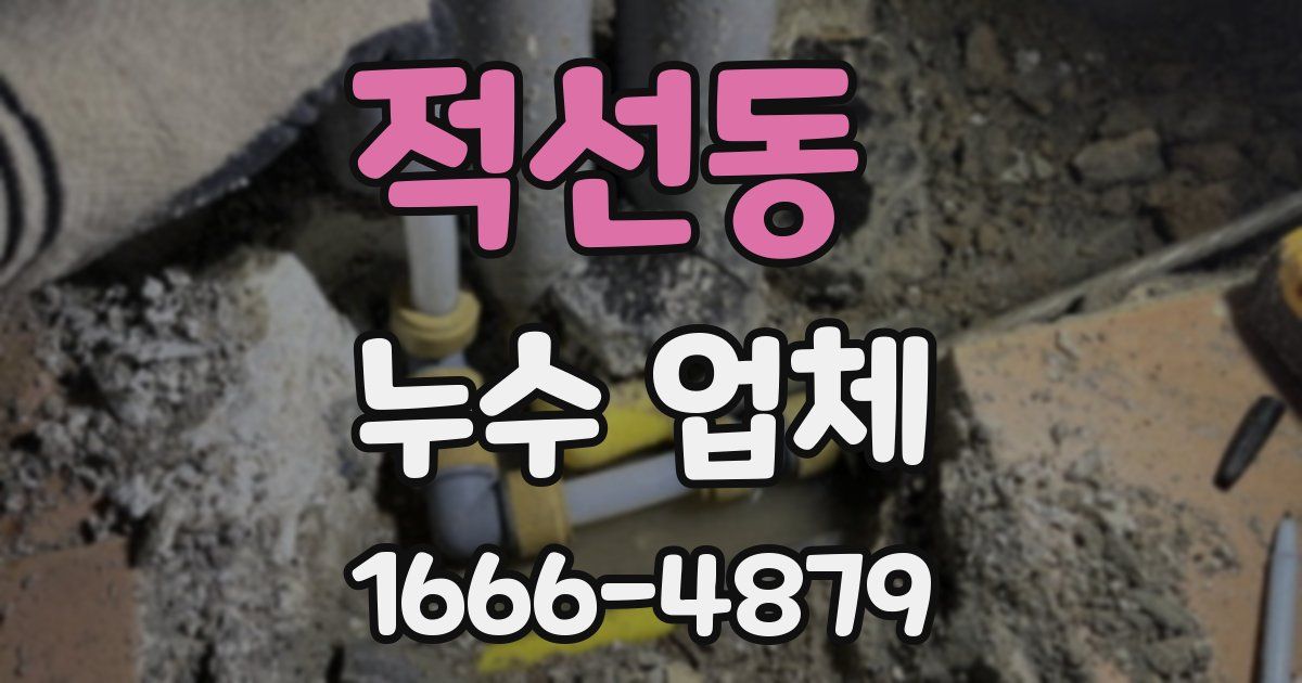 적선동 누수 업체
