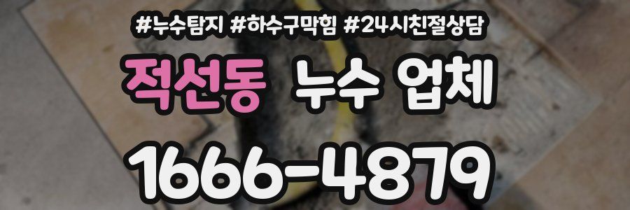 적선동 누수 업체
