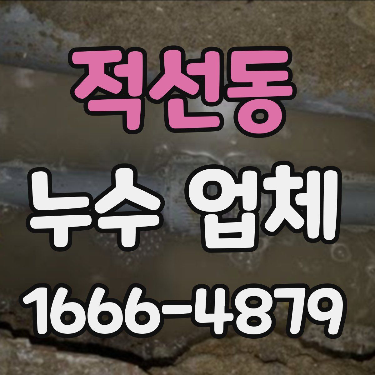 적선동 누수 업체