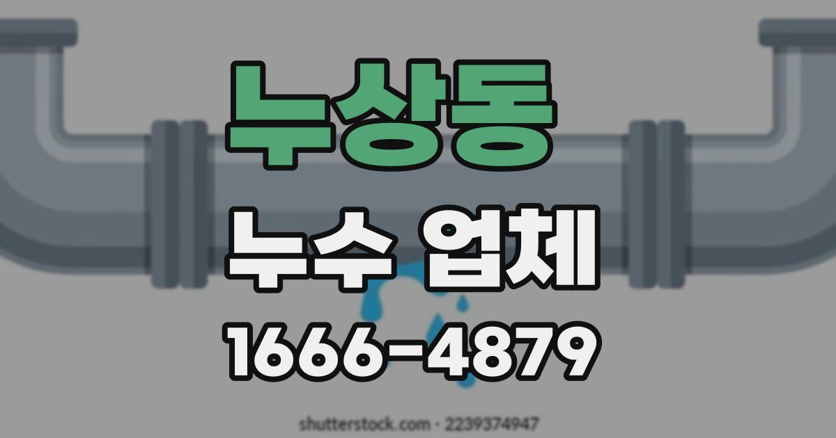 누상동 누수 업체