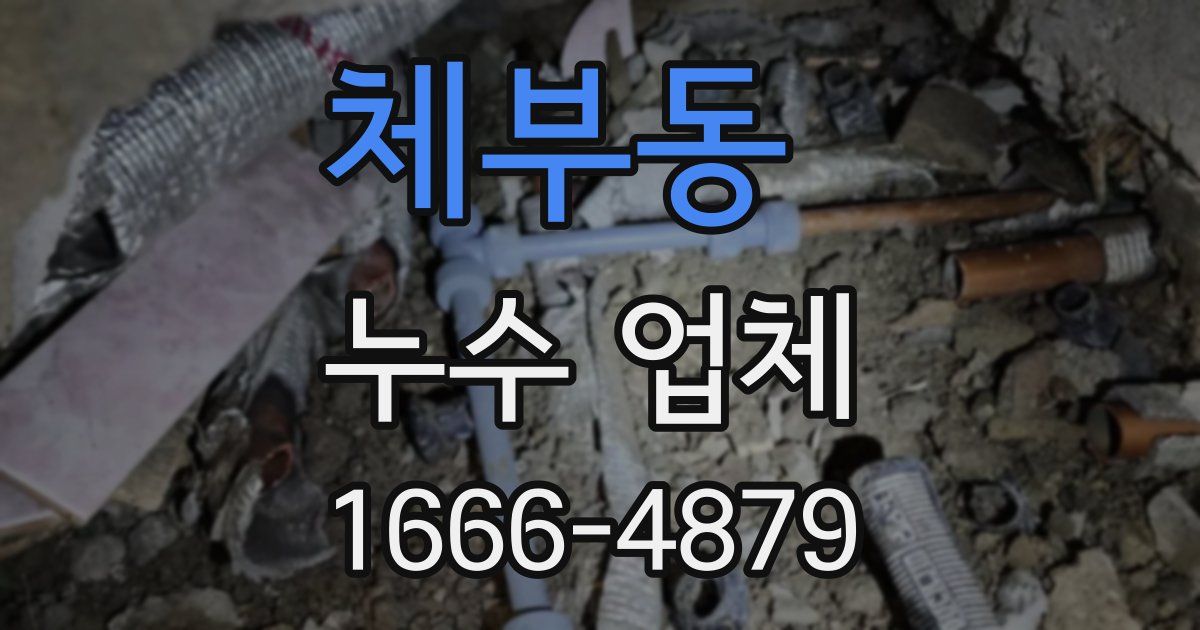 체부동 누수 업체