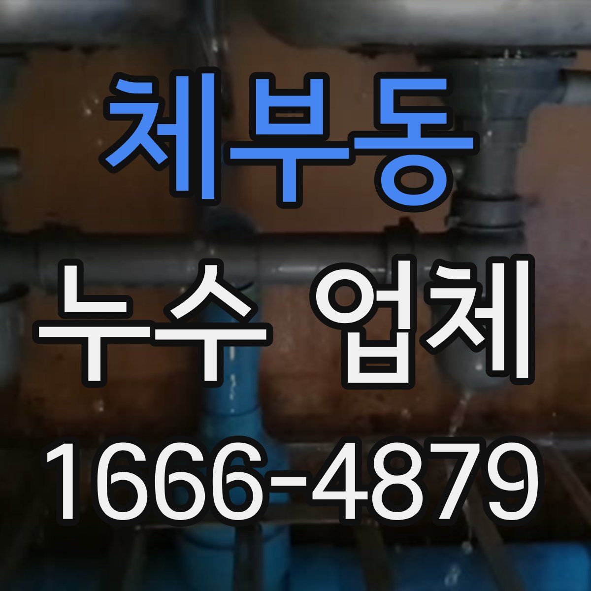 체부동 누수 업체