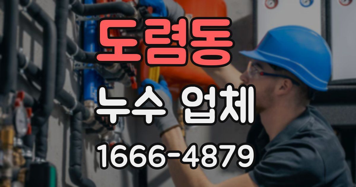 도렴동 누수 업체