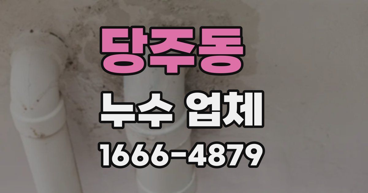 당주동 누수 업체