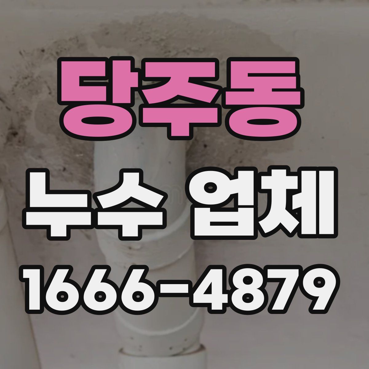 당주동 누수 업체