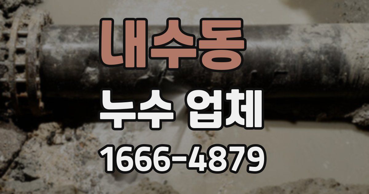 내수동 누수 업체