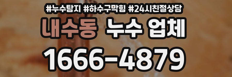 내수동 누수 업체
