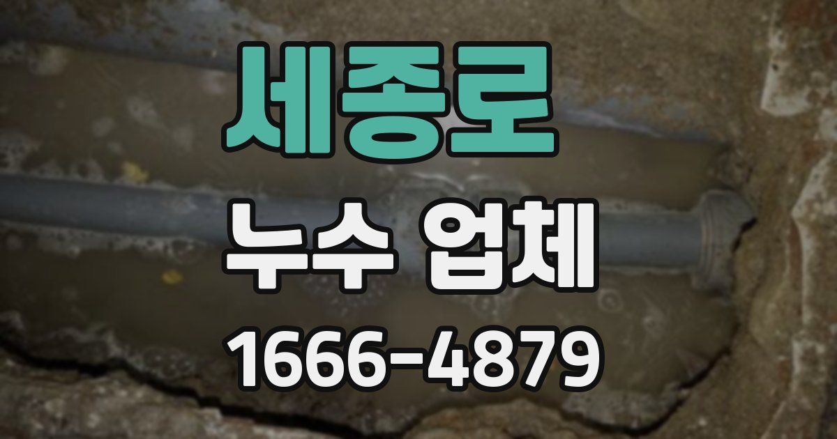 세종로 누수 업체