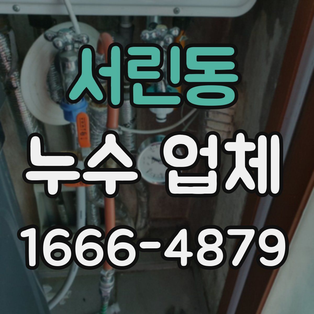 서린동 누수 업체
