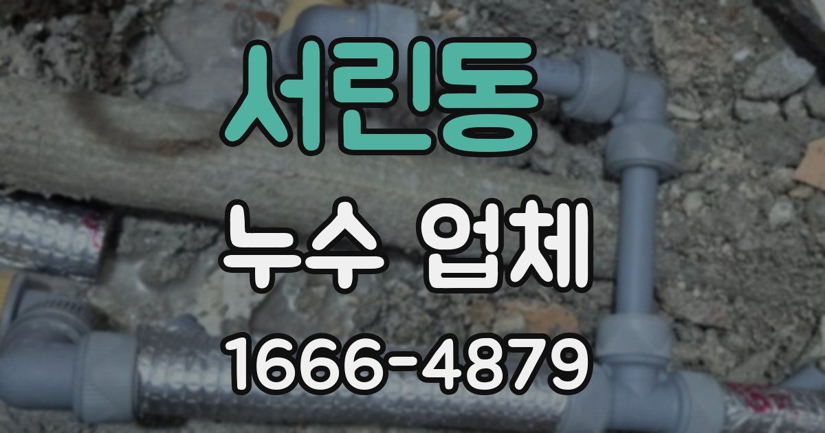 서린동 누수 업체