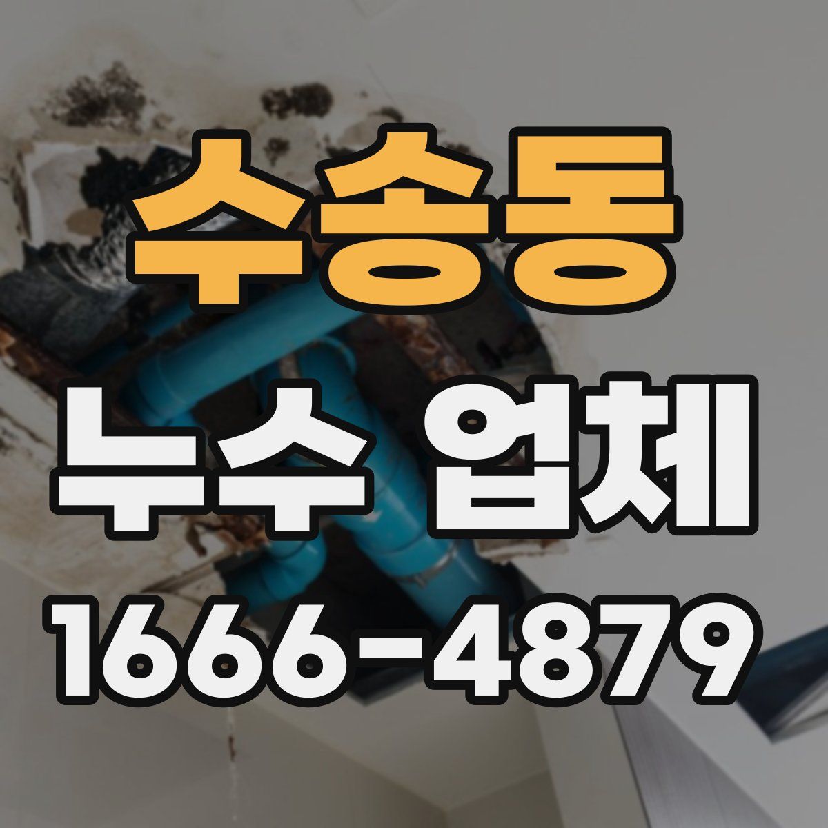 수송동 누수 업체