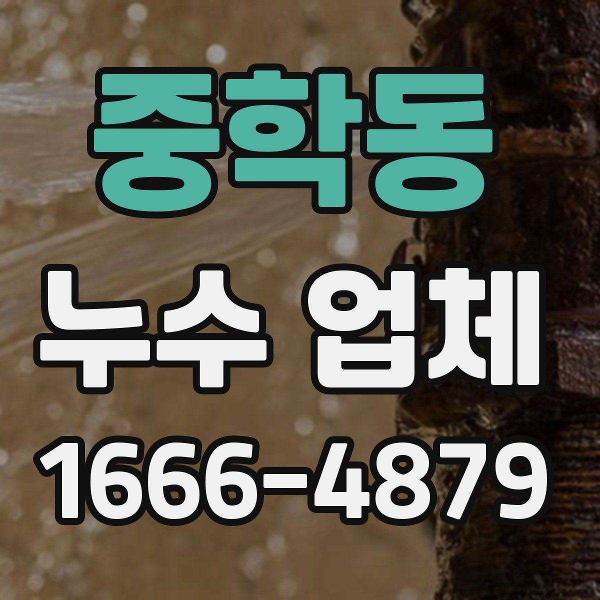 중학동 누수 업체