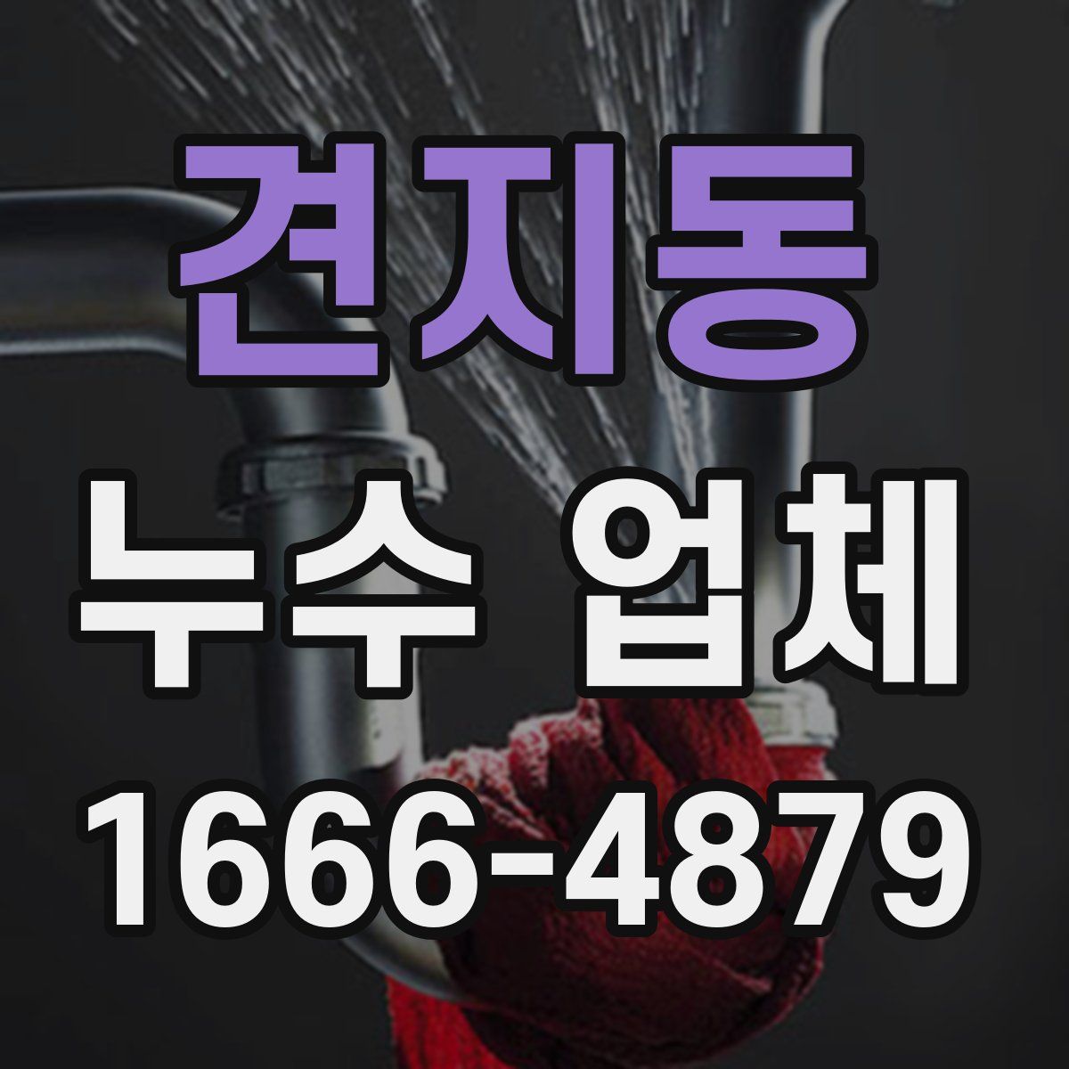견지동 누수 업체