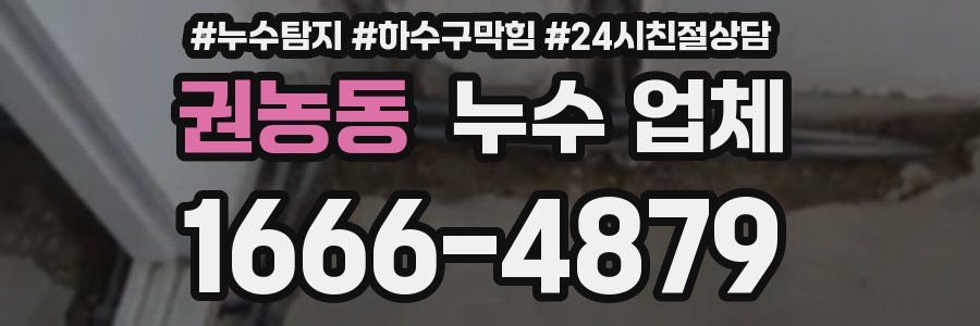 권농동 누수 업체