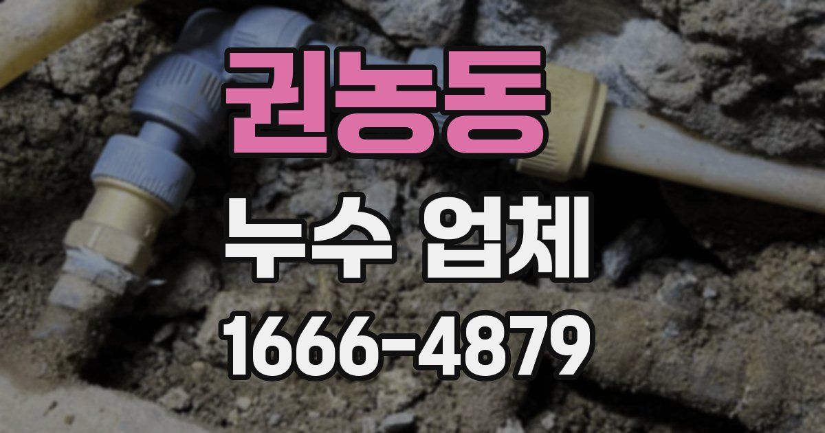 권농동 누수 업체
