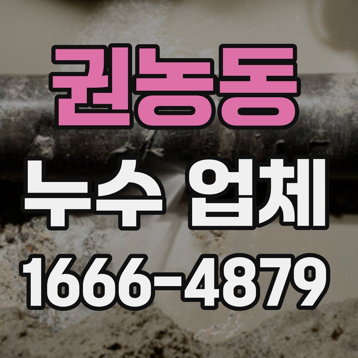 권농동 누수 업체