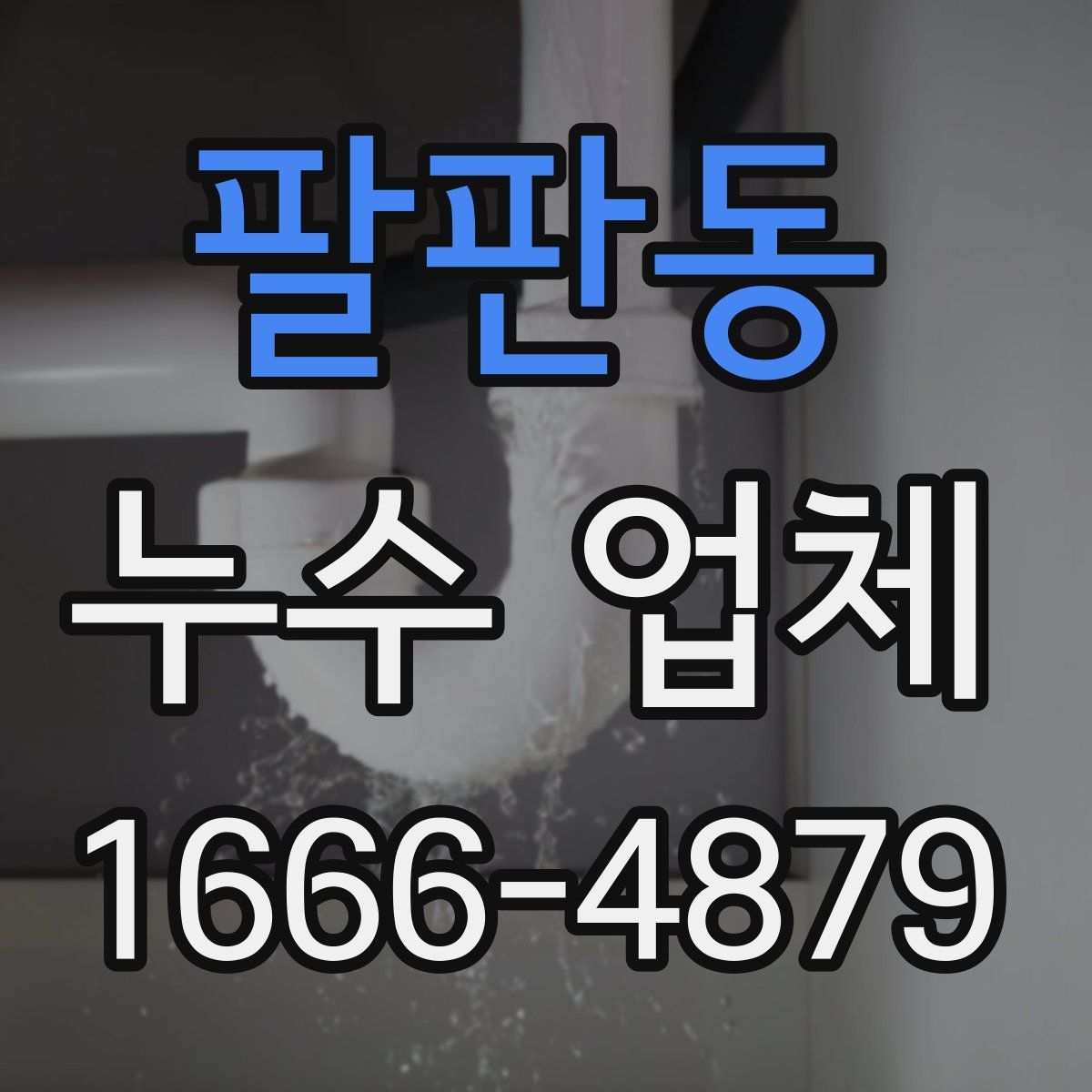 팔판동 누수 업체