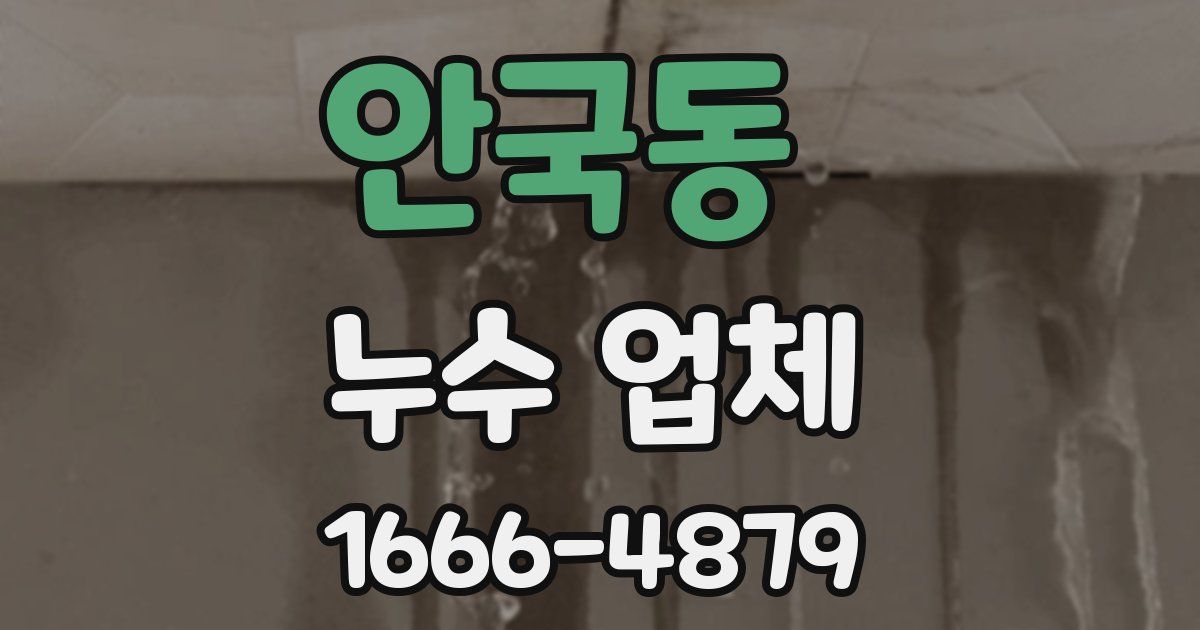 안국동 누수 업체