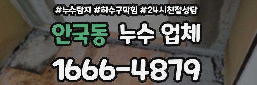 안국동 누수 업체