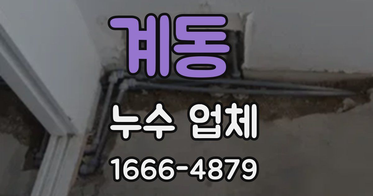 계동 누수 업체