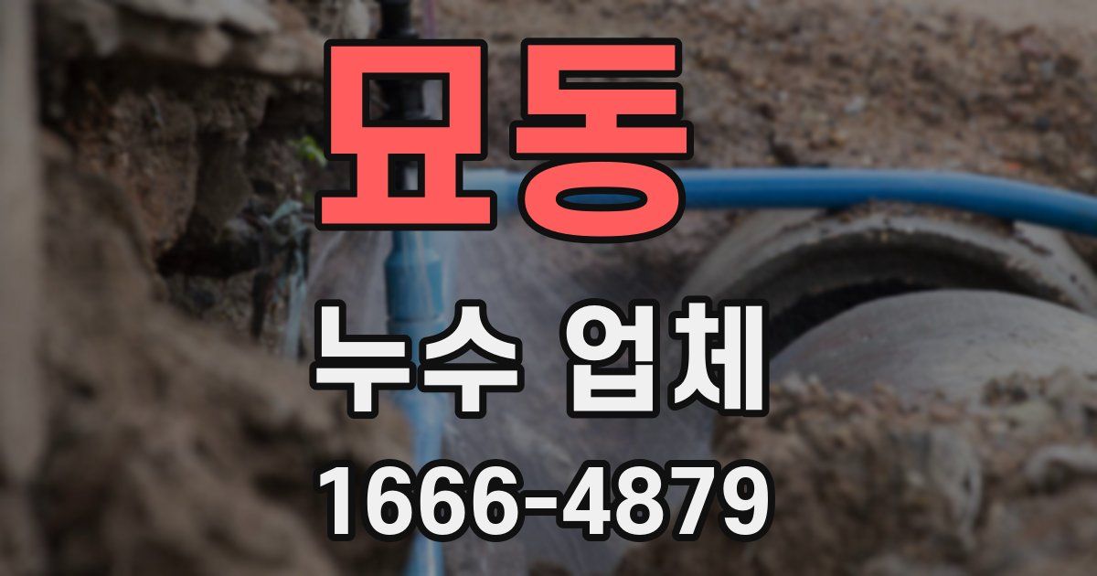 묘동 누수 업체
