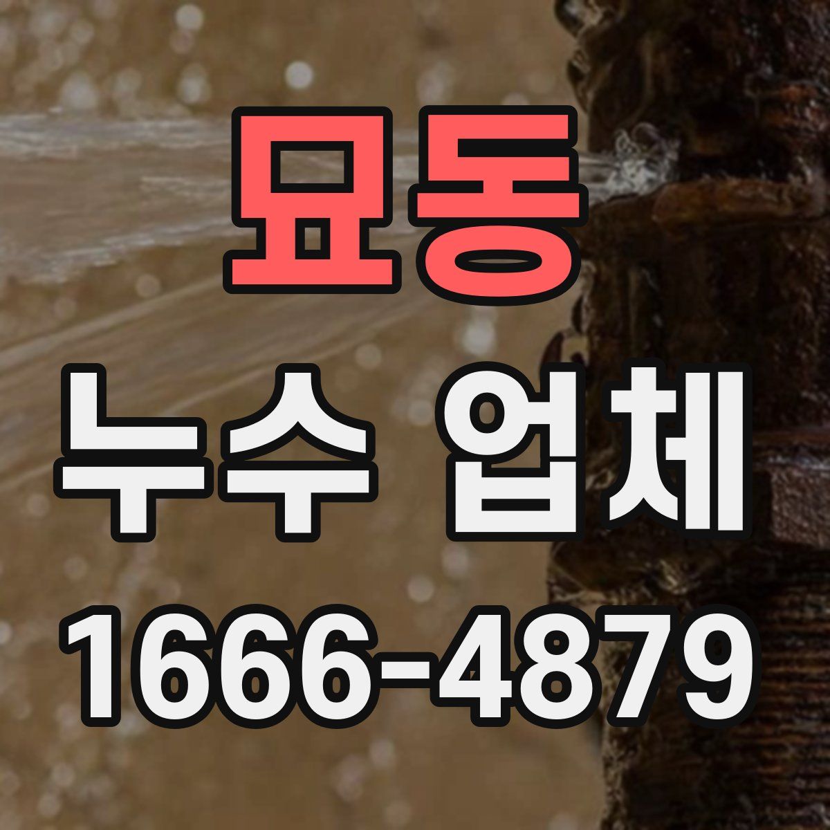묘동 누수 업체