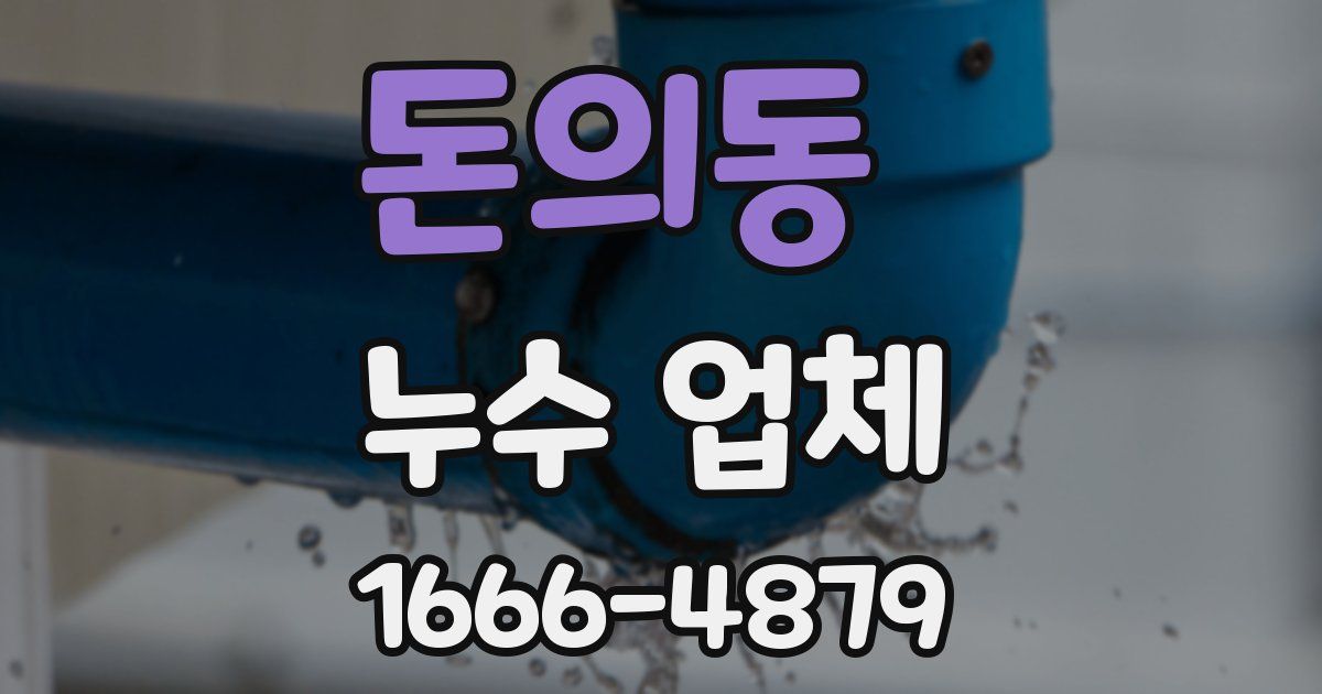 돈의동 누수 업체