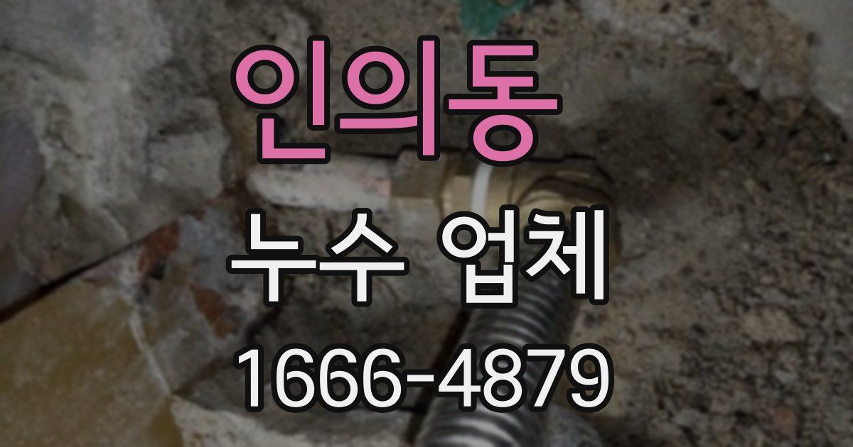 인의동 누수 업체