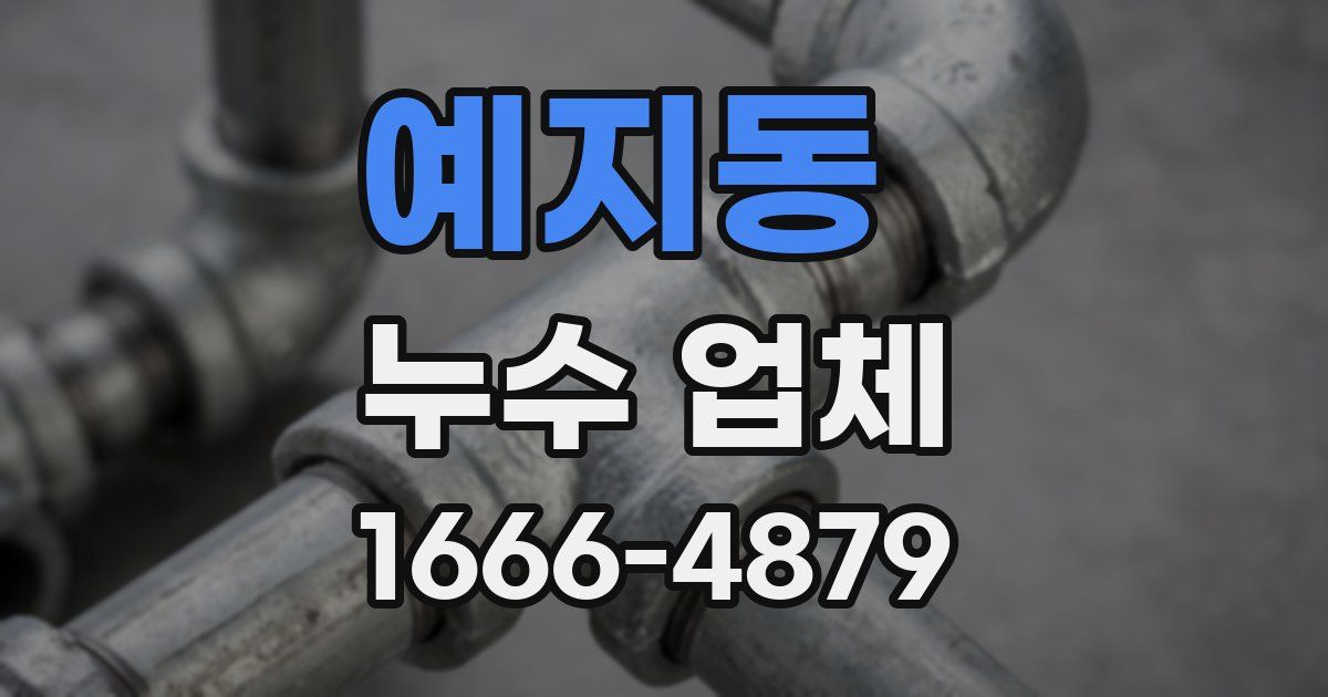 예지동 누수 업체