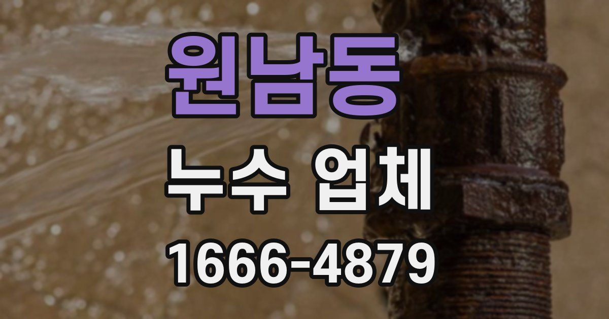 원남동 누수 업체