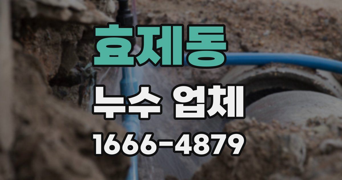 효제동 누수 업체