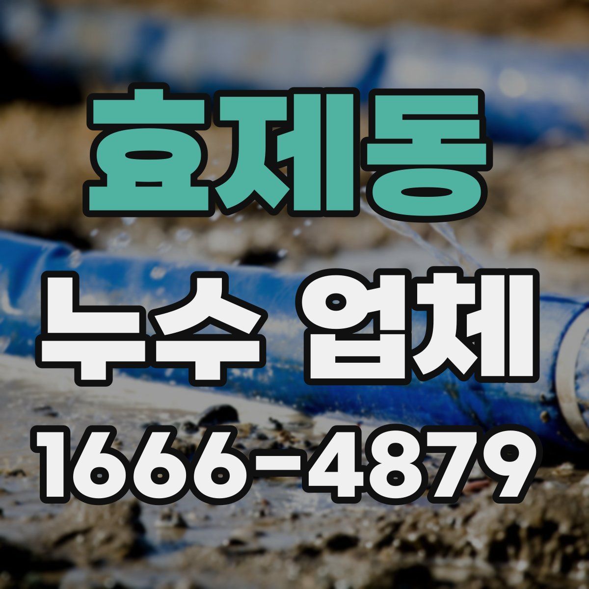 효제동 누수 업체