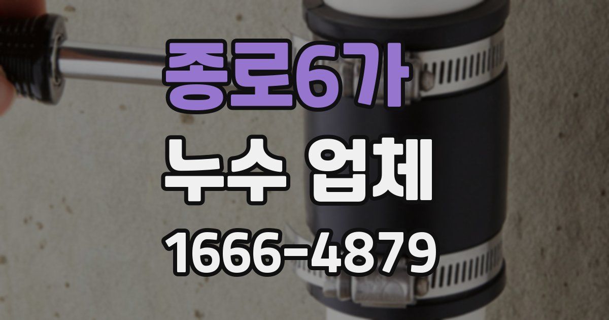 종로6가 누수 업체