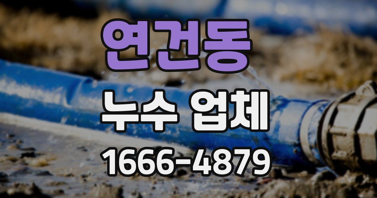 연건동 누수 업체