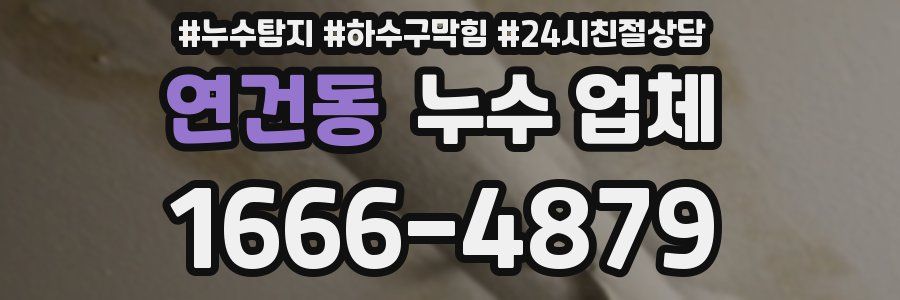 연건동 누수 업체