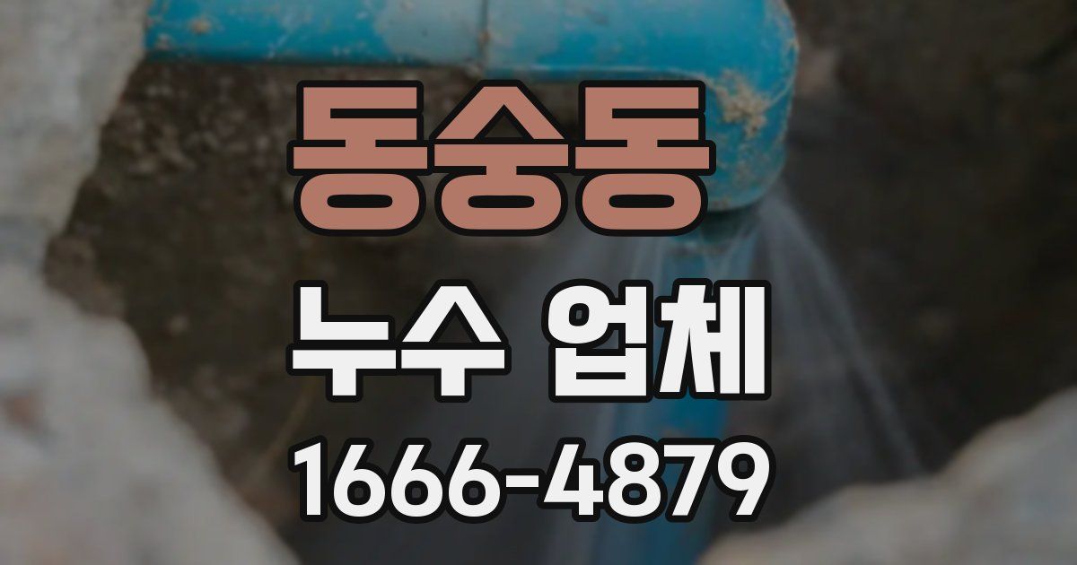 동숭동 누수 업체