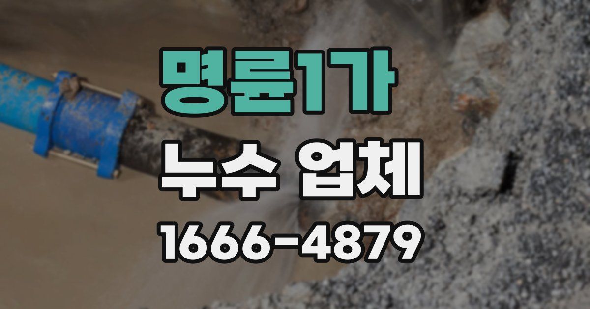 명륜1가 누수 업체
