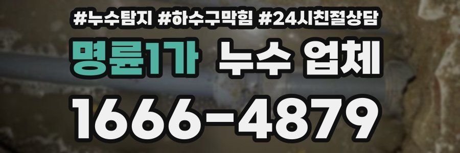 명륜1가 누수 업체
