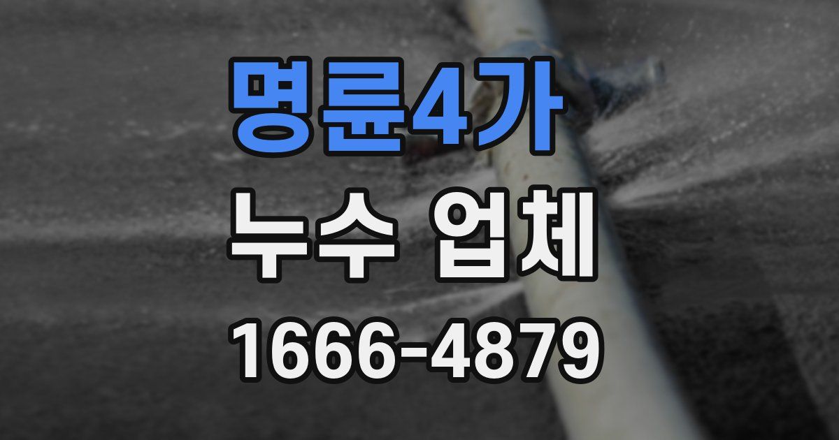 명륜4가 누수 업체